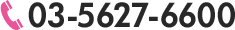 03-56270-6600